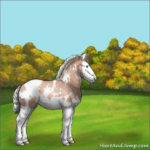 Horse Color:White Spotted Gold Champagne Mushroom Splash 