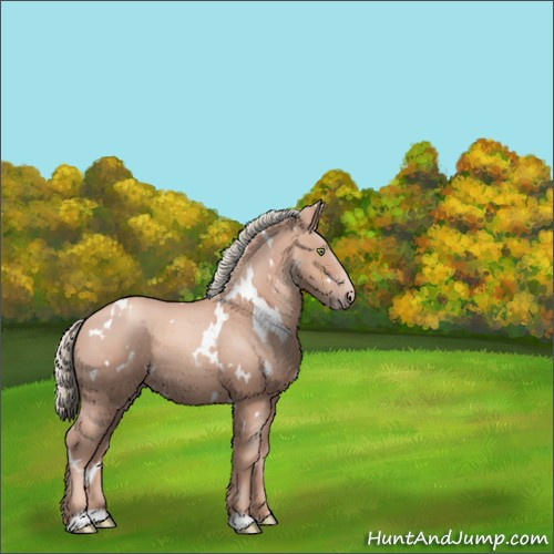 Horse Color:White Spotted Gold Champagne Mushroom 