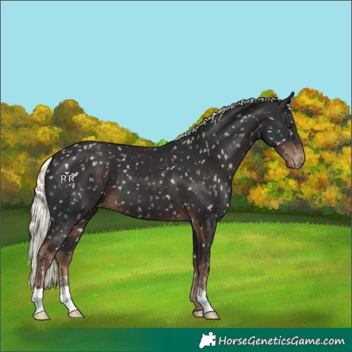 Horse Color:Liver Chestnut Mushroom Snowflake Varnish