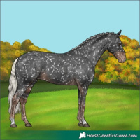 Horse Color:Liver Chestnut Mushroom Snowflake Varnish