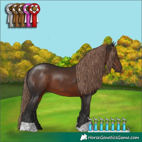 Horse Color:Liver Chestnut 