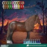 Horse Color:Liver Chestnut 