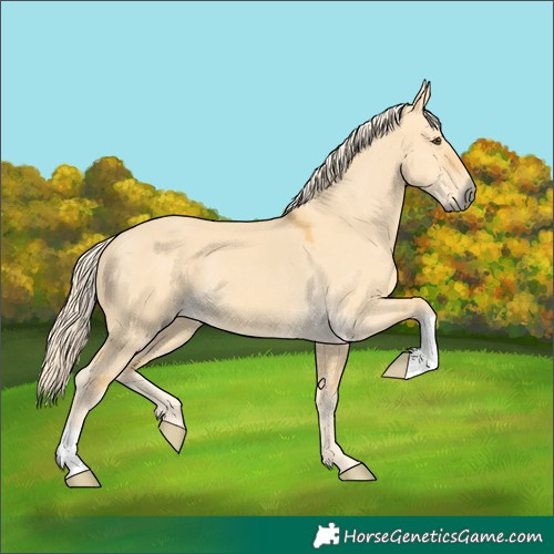 Horse Color:Palomino Dun 