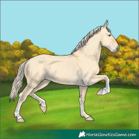 Horse Color:Palomino Dun 