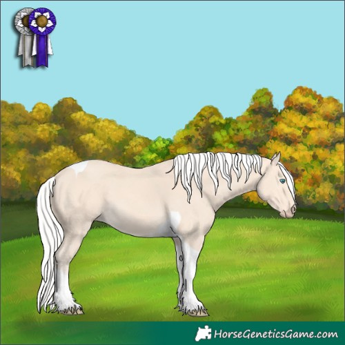 Horse Color:Silver Perlino Tobiano 