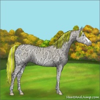 Horse Color:Painted Perlino Ice Onyx 