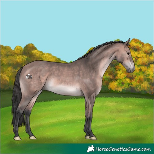 Horse Color:Platinum Bay 