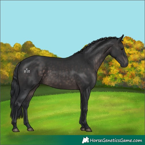 Horse Color:Platinum Brown 