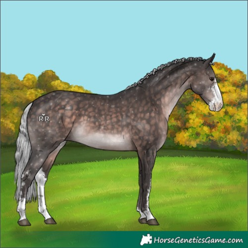 Horse Color:Platinum Silver Brown Sabino