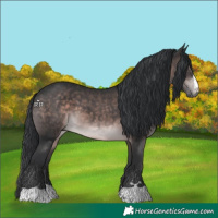 Horse Color:Platinum Brown 