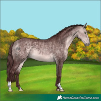 Horse Color:Platinum Chocolate Buckskin 