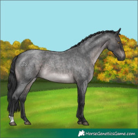 Horse Color:Platinum Brown Roan 