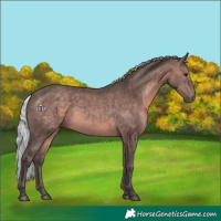 Horse Color:Platinum Silver Brown 