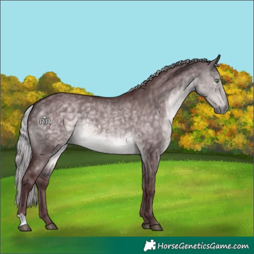 Horse Color:Platinum Chocolate Silver Buckskin Dun 