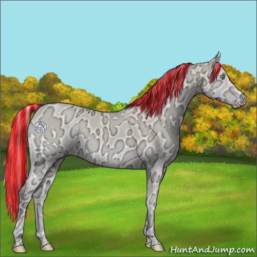 Horse Color:Painted Perlino Ice Onyx 