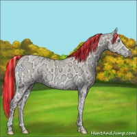 Horse Color:Painted Perlino Ice Onyx 