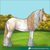 Horse Color:Smoky Black Pearl Tobiano