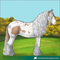 Horse Color:Black Pearl Splash Tobiano 