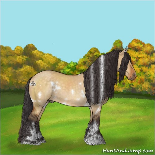 Horse Color:White Spotted Buckskin Dun Sabino Rabicano 