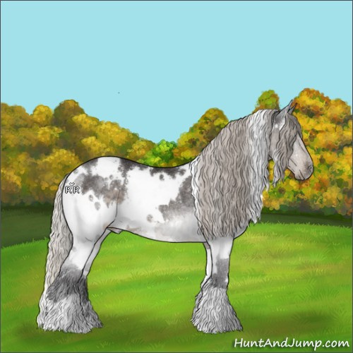 Horse Color:White Spotted Silver Smoky Black Rabicano 