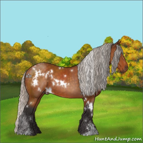 Horse Color:White Spotted Silver Buckskin Sabino 