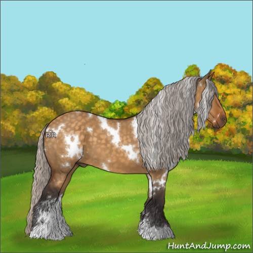 Horse Color:White Spotted Silver Buckskin Dun Sabino 