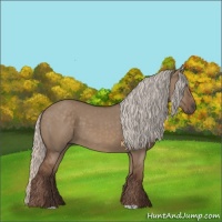 Horse Color:Silver Grullo 
