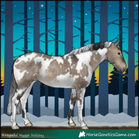 Horse Color:White Spotted Brown Dun 