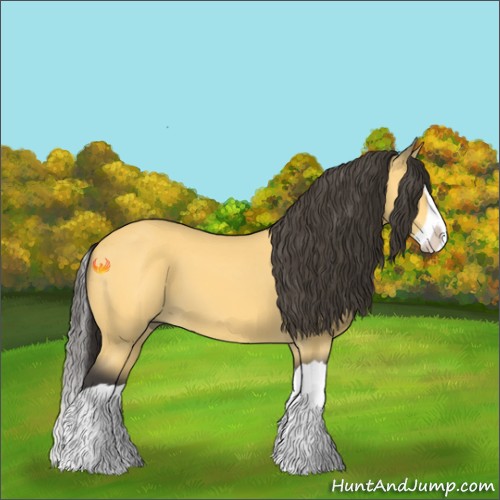 Horse Color:Buckskin Splash 
