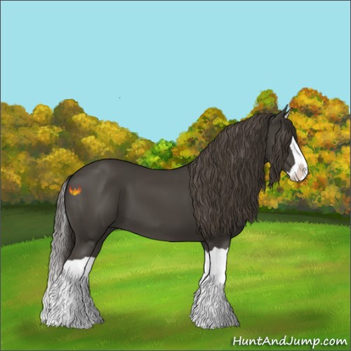Horse Color:Smoky Black Splash 