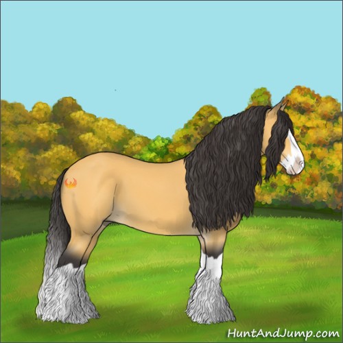 Horse Color:Buckskin Splash 