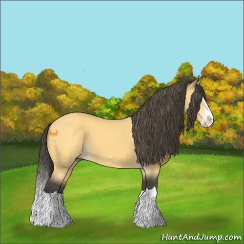 Horse Color:Buckskin Splash 