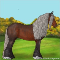 Horse Color:Silver Brown 
