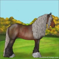 Horse Color:Silver Brown Rabicano 