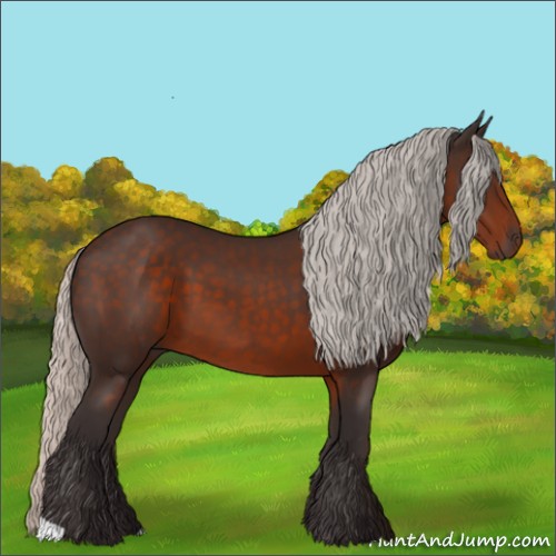 Horse Color:Silver Brown 