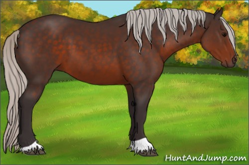 Horse Color:Silver Brown