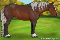 Horse Color:Silver Brown 