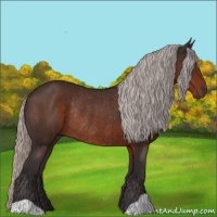 Horse Color:Silver Brown Rabicano 