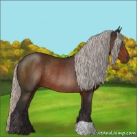 Horse Color:Silver Brown Rabicano 