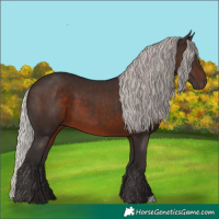 Horse Color:Silver Brown 