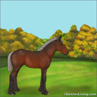Horse Color:Silver Brown Rabicano 
