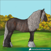 Horse Color:Silver Brown Rabicano