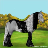 Horse Color:Void Silver Grullo Chinchilla Tobiano 