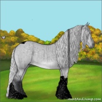 Horse Color:Void Silver Grullo Chinchilla Tobiano Brindle 