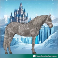 Horse Color:Silver Black Ice 