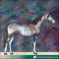 Horse Color:Nacre Brown Chinchilla Onyx Splash Rabicano