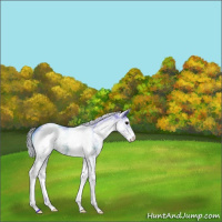 Horse Color:Watercolor White Spotted Silver Brown Varnish 