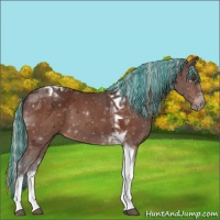 Horse Color:Painted Silver Brown Tobiano 