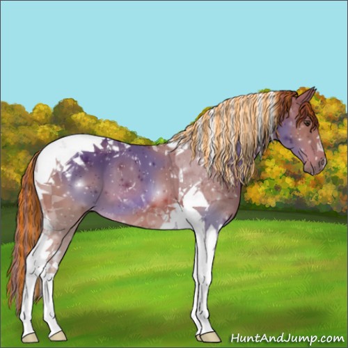 Horse Color:Painted Chestnut Tobiano 