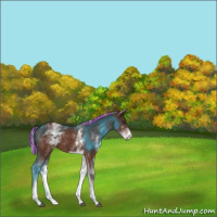 Horse Color:Painted White Spotted Silver Brown 